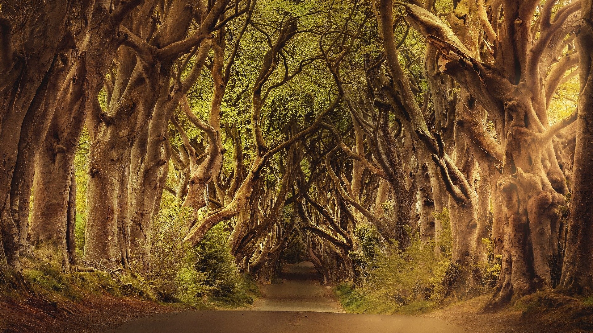 IRLANDE (3b)