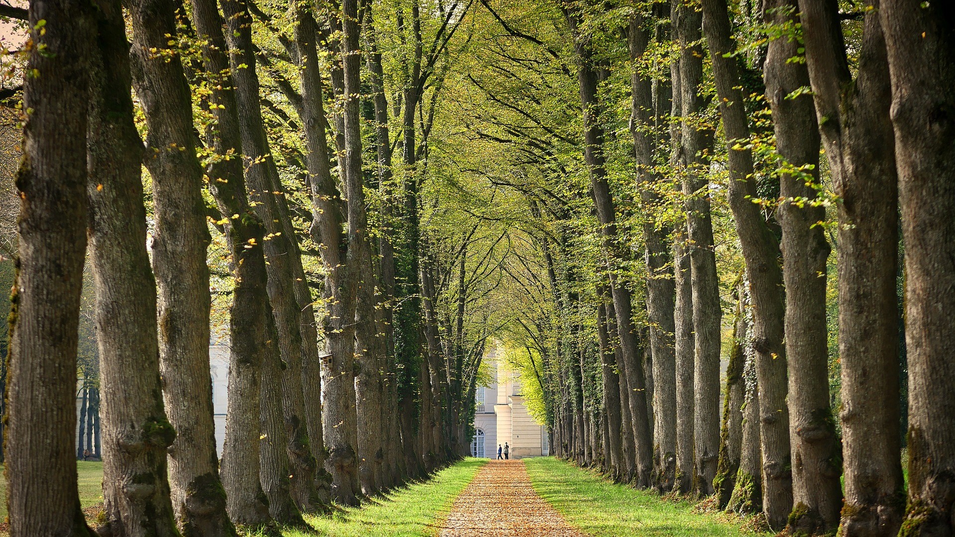 BAVIERE (1b)