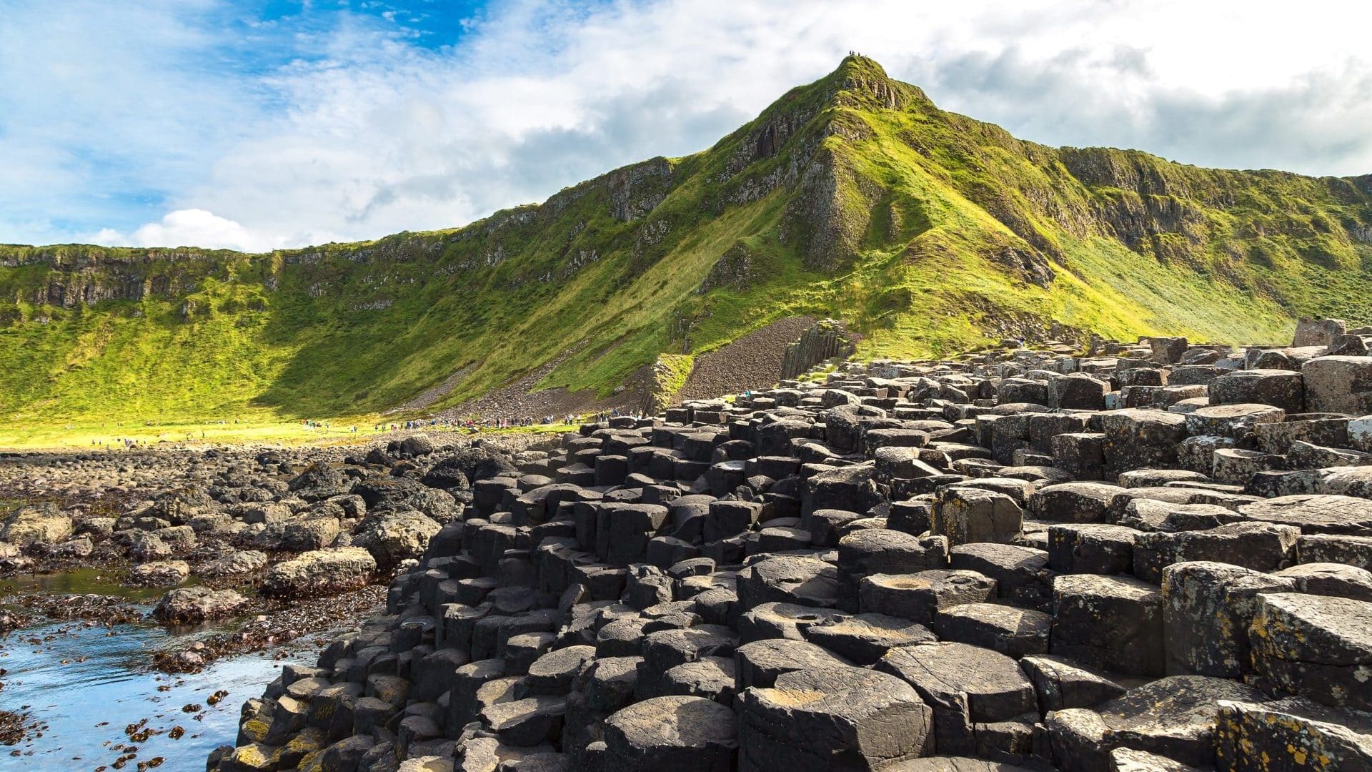 Giant's,Causeway,In,A,Beautiful,Summer,Day,,Northern,Ireland
