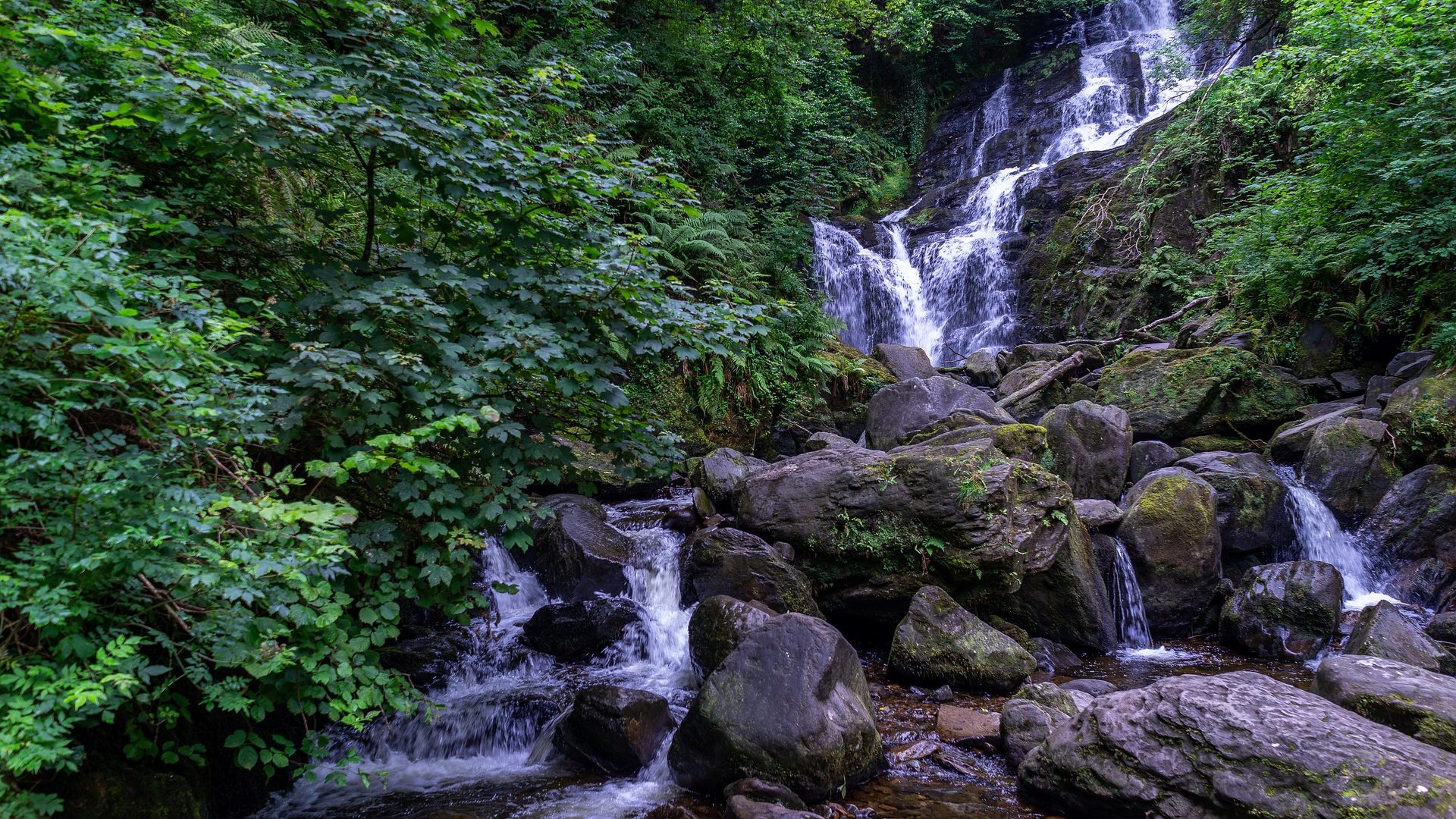 KILLARNEY (5)