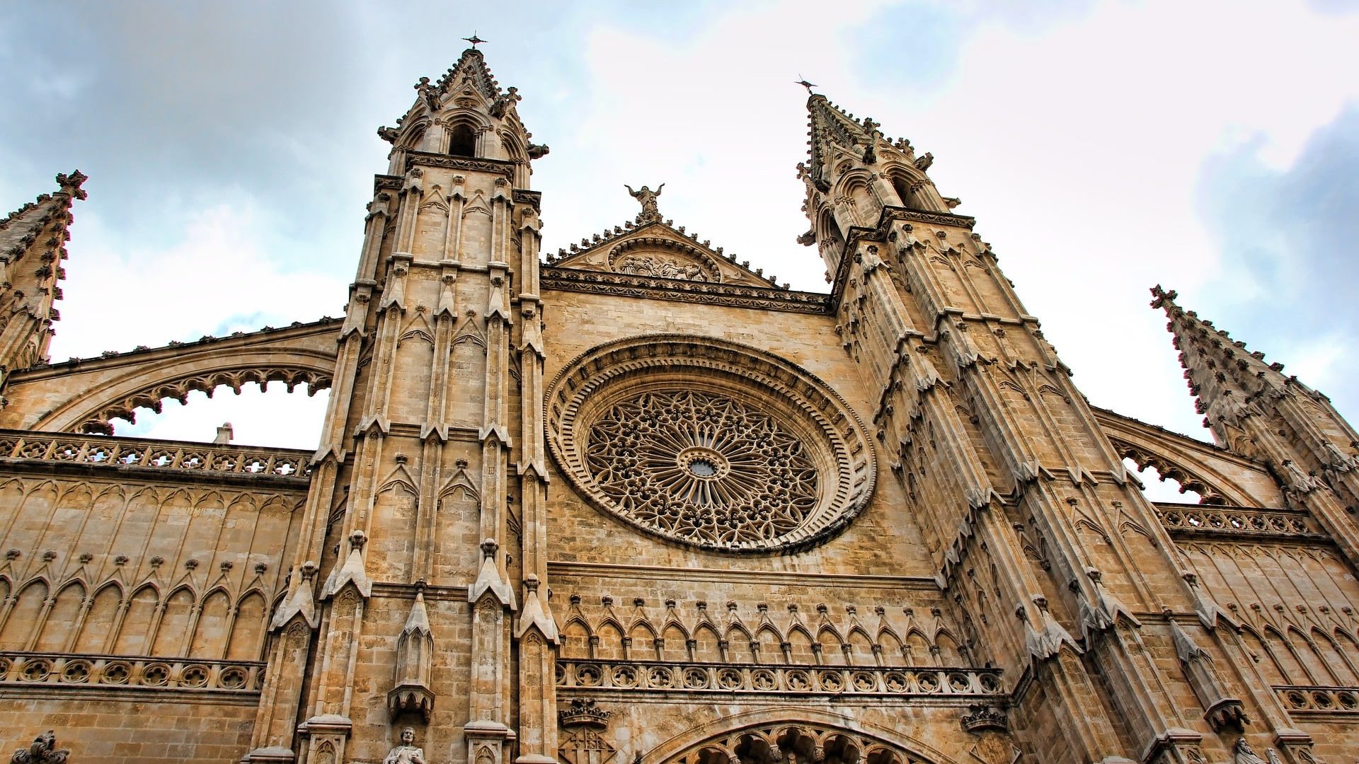 PALMA (1)